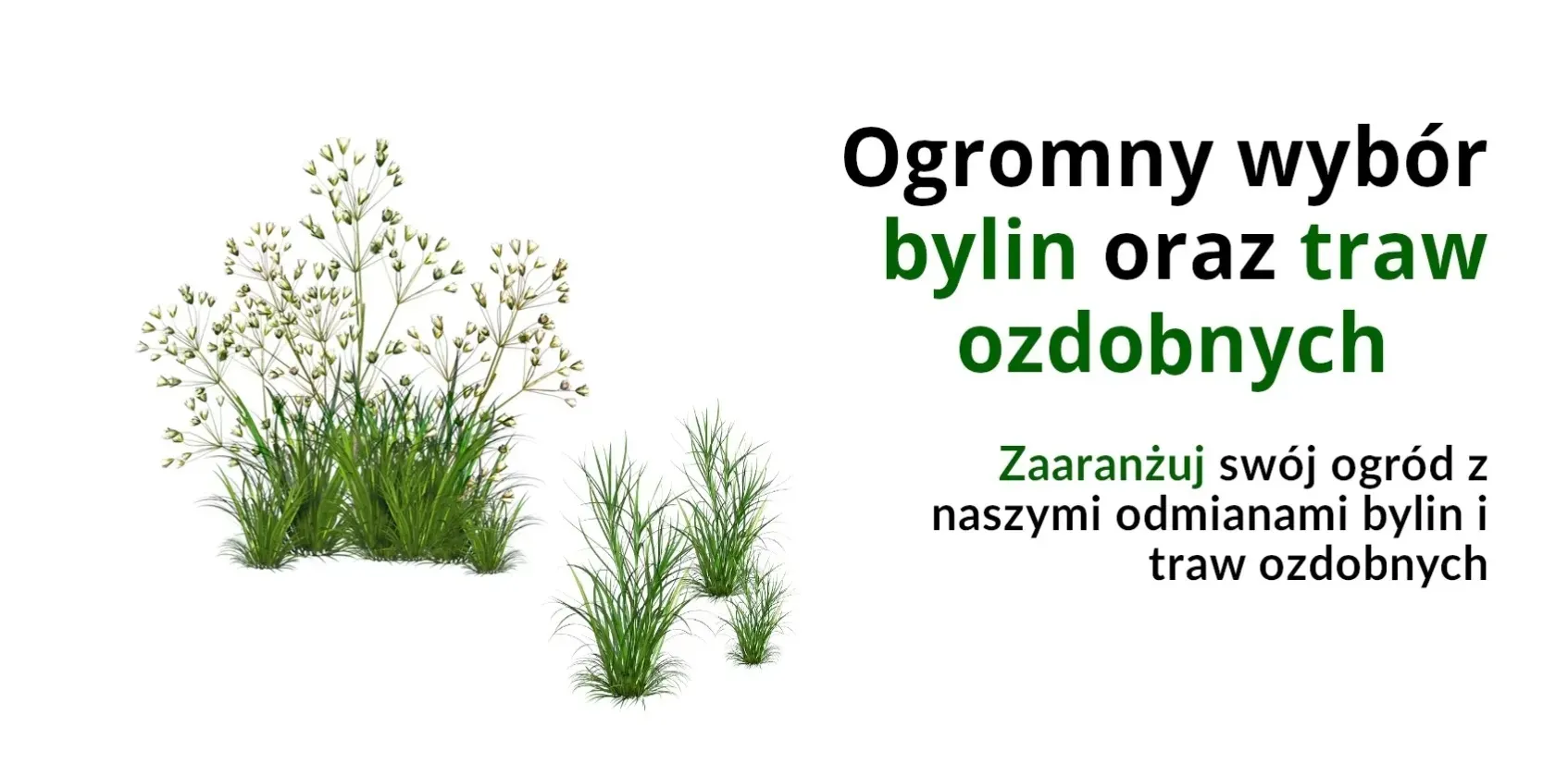 baner góra