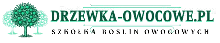 Zam&oacute;wienie elektroniczne (on-line)