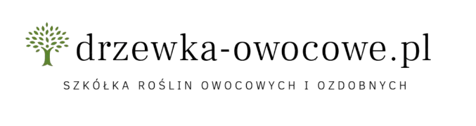 Zam&oacute;wienie elektroniczne (on-line)