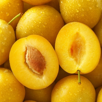 ŚLIWA WĘGIERKA BIAŁA - sadzonki 90 / 140 cm