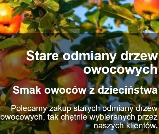 stare odmiany