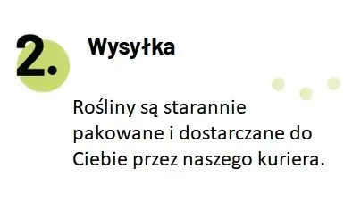 wysylka2aa